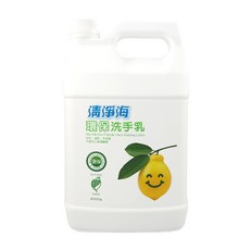 清淨海 環保洗手乳, 4000g, 1件