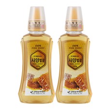 고려인삼 사양벌꿀, 500g, 2개