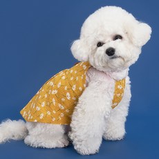 DOG-i 寵物菊花連身裙, 芥末黃