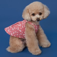 DOG-i 寵物菊花連身裙, 珊瑚色