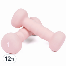 코멧 논슬립 삼각 아령, 1kg, 12개