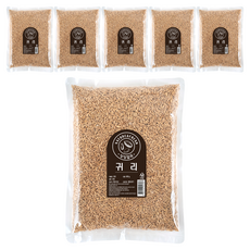 월드그린 싱싱 귀리, 800g, 6개