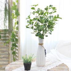 IBERIS Dawoo F&G 火焰愛心葉, 2個, 綠色