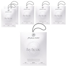 더클래스 퍼퓸 사쉐 차량용 방향제, 6개, 베이 브리즈