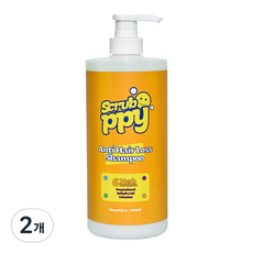 스크러피 안티헤어로스 샴푸, 1L, 2개