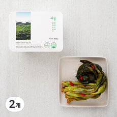 이킴 갓김치, 800g, 2개
