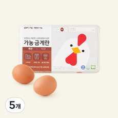 가농 무항생제 인증 금계란 특란 900g, 5개, 15구