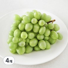 칠레 청포도, 4개, 450g