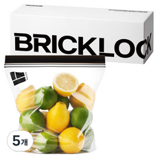 브릭글로 브릭락 두꺼운 스탠딩 더블 냉장 냉동 겸용 지퍼백, 대(L), 5개, 40개입