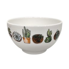泰國 Royal Porcelain CACTUS PARK 飯碗 11.5cm, 白色, 1個