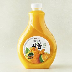따옴 천혜향 한라봉 청귤, 1.6L, 1개