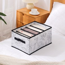 Queen's Nest 5格內衣收納盒, 混合色