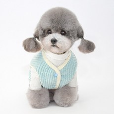 DING DONG PET 寵物溫和簡約背心, 薄荷綠