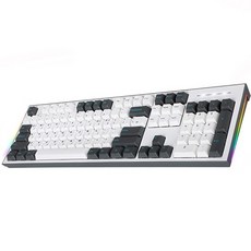 COX 이색사출 사이드 RGB 기계식 유선 일반형 키보드, 그레이 + 화이트, CK01PBT, 갈축 그레이 + 화이트, CK01PBT, 갈축