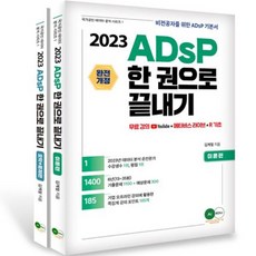 2023 ADsP 一本搞定 理論 + 摘要試題 國家公認數據分析系列 1, AI Edu