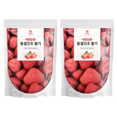 굳드림 凍乾草莓, 100g, 2個