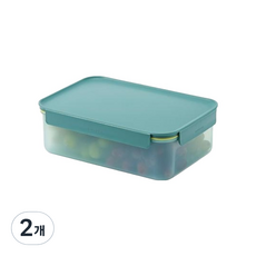 락앤락 프레쉬 프로텍트 밀폐용기 그린, 2개, 2.8L