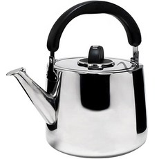 QUEEN SENSE 不鏽鋼燒水壺, 3L, 混色, 1個