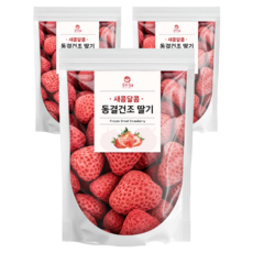 굳드림 동결건조 딸기, 3개, 100g
