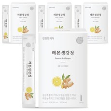 하루활력 레몬생강청, 300ml, 4개