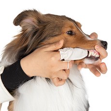 Laughing Charlie 寵物用棉質指套牙刷, 6入