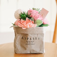 ASPASIA 康乃馨造型肥皂花籃+賀卡+插卡組, 1個, 粉色的