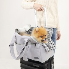 개과천선 반려동물 애견 L 기내용 쿠션포함 이동가방, 그레이, 1개