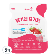 내아이애 동결건조 요거트 큐브, 16g, 5개, 딸기
