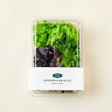프리미엄 베이비케일 가든 샐러드 믹스, 100g, 1개, 1개입