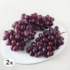 칠레 적포도, 1.8kg, 2개