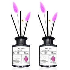 엠퓨처 프리미엄 화장실 실내 방향제 디퓨저 + 리드꽃 랜덤발송 2p 세트, 라벵드브레, 150ml, 1개