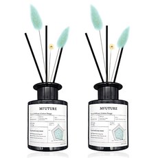 엠퓨처 프리미엄 화장실 실내 방향제 디퓨저 + 리드꽃 랜덤발송 2p 세트, 코튼뉴아즈, 150ml, 1개