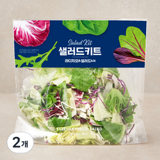 라디치오 앤 샐러드 키트, 200g, 2개