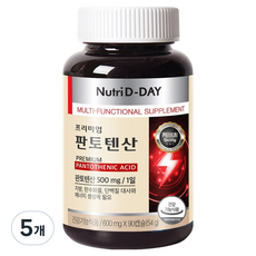 뉴트리디데이 프리미엄 판토텐산 54g, 90정, 5개