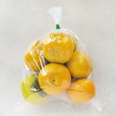 아삭한 단감, 1.2kg, 1개