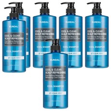 쿤달 쿨 앤 클리어 스칼프 리프레싱 샴푸 아쿠아민트향, 1.058L, 6개
