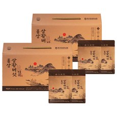 풍기인삼농협 홍삼 상황버섯 진액, 70ml, 60개