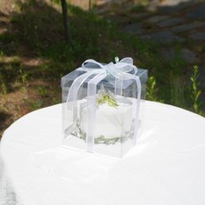 DesignPackage 迷你雙層蛋糕盒, 透明, 10個