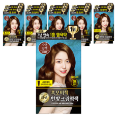 리엔 흑모비책 한방 크림 새치 염색제, 자연갈색, 15개