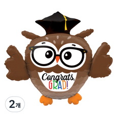 GRABO BALLOONS 鋁箔氣球 學士帽貓頭鷹, 2個, 混合色