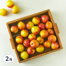 가족 의성 꼬마 자두, 2개, 2kg
