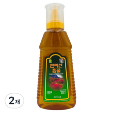제주앤팜 한라산 참꿀 튜브형, 600g, 2개