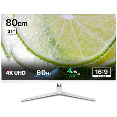 래안텍 4K UHD TYPE C 모니터, 80cm, PANTHEON U32C60PW (무결점)
