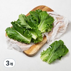 국내산 GAP 아삭한 상추, 150g, 3개