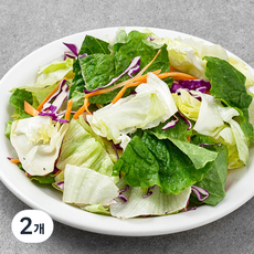 롯데푸드 믹스 4종 샐러드, 800g, 2개