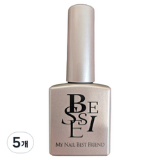 BESSIE 가든 오브 미라클 자석젤, 5개, 11ml, MG09 애프리콧 가든