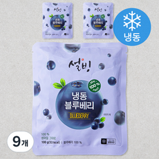 설빙 블루베리 (냉동), 100g, 9개