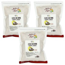 내츄럴스파이스 크리스피 양파, 3개, 400g