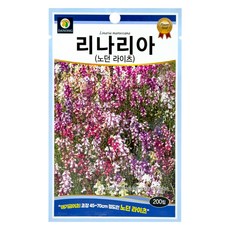 다농 리나리아 노던 라이츠 씨앗 200p, 1개
