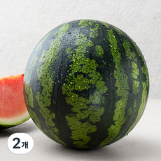 산지직송 당도선별 11brix 수박, 7kg이상, 2개